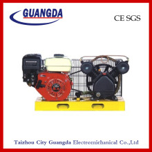 CE SGS 5.5HP Panel Air Compressor (DCV2051)